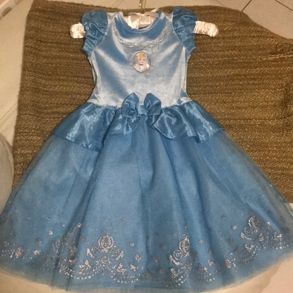 Cinderella dress gown